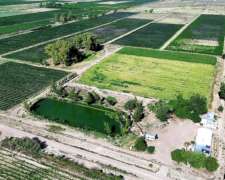 Finca De 32 Ha En Venta - Ugarteche/ Lujan De Cuyo