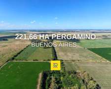 221,66 Ha Pergamino Mixto