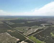 Pcia. De Chaco - Santa Sylvina 500 Ha
