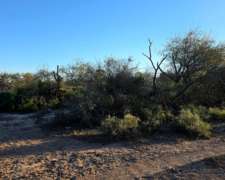 Vendo Campo en Lugones S/ Ruta 34 SGO del Estero 947 Has