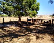 Campo Gandero 30.000 Hectareas,algarrobo del Aguila la Pampa