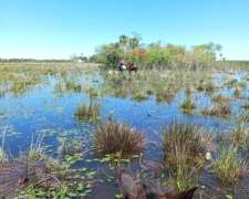 Gran Oportunidad de Inversion en San Miguel-corrientes.