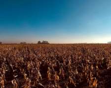 Luján, Buenos Aires - 57,6 Ha