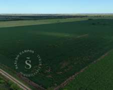 Agrícola Suelo 1/2. 43 HA. San Jerónimo del Sauce