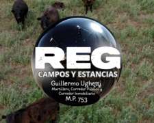 300 Has - las Flores