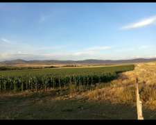 Venta Excelentes 64 Has Agrícolas Coronel Pringles S.ventana