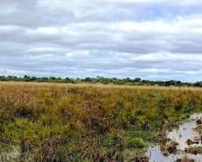 Oportunidad Productiva / Campo Disponible