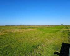 Campo Venta Castelli 380 Ha Ganaderas
