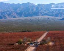 104 Has. Finca con Viñedos en el Cepillo, Mendoza