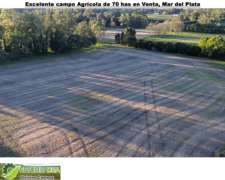 Vendo Excelente Campo Agrícola de 70 Has en MAR del Plata