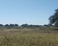 Campo en Venta - 1500 Ha - Zona Nueva Galia (s.l)