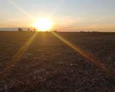 Campo Agrícola en Venado Tuerto