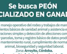 Peon para Ganaderia Cria.