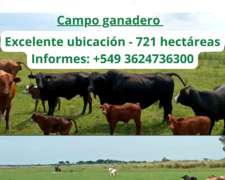Campo Ganadero Ideal Engorde -consultar PRECIO1