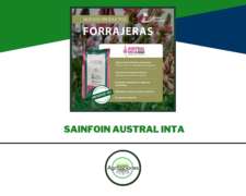 Semilla de Sainfoin Austral Inta