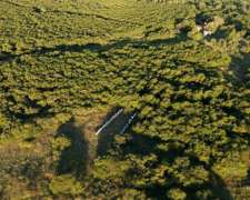 Campo Ganadero Costa Uruguay SUR