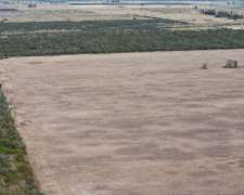 115 Has Aptitud Agrícolas SA Pereira las Colonias Santa FE