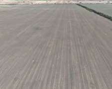 Venta 75 Has Zona Rio Iv