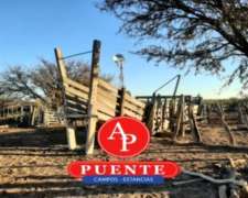 En Venta 2500, Cuchillo CÓ, la Pampa