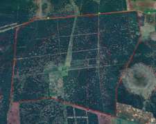 811,5 Hectáreas – Zona la Gallareta