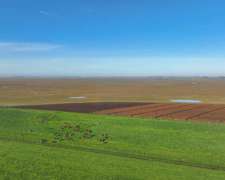Pcia. De Buenos Aires - Ayacucho 1212 Ha