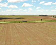 Cintra, Unión, Córdoba - 278 Ha