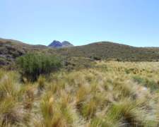 Vendo Campo en Cerro Largo San Luis
