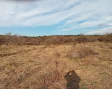 Venta de 213 Ha Ganaderas en Berrotarán