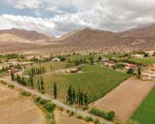 Pcia. de Salta - Bodega Miraluna - Cachi 16 Has