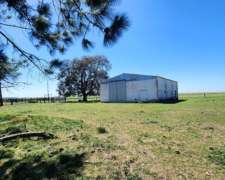 Campo Mixto en Alquiler