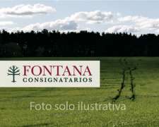 Campo Mixto Sobre Autopista. Sudeste Bonaerense.