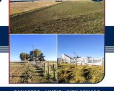 En Venta 200 HA. General San Martín, la Pampa