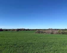 Vendo 450 Hectáreas Ganaderas