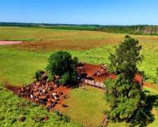 Santo Tomé - 2365 Ha - Corrientes