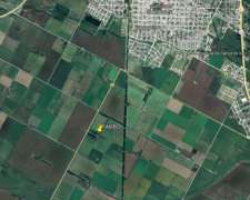 Tambo en Funcionamiento Tranquera Cerrada