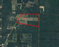 Campo en Venta Ganadero 578 Has a 28 km de J.j. Castelli