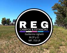 500 Has en Ingeniero Luiggi, LP