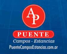 Campos en Venta en el SUR de San Luis.