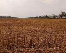 Santiago del Estero -1900 Has -para Desarrollar-