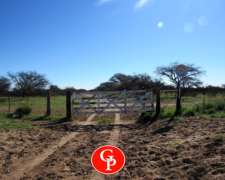 En Venta, 2.500 Has, General Acha, La Pampa.-