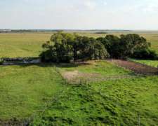 Campo Mixto en el Departamento de Concepción Corrientes