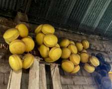 Lote De Flotantes De Aguada