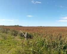 66 HA. Zona Hernández. Agrícola sin Desperdicio