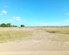 Pila, Buenos Aires - 115 Ha