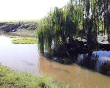 Campo Mixto 29 Hectáreas