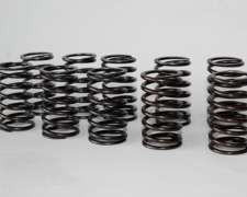 Resorte de Válvula 540/980/1380