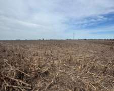 Campo Agrícola de 63 Hectáreas General Rojo