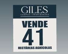 Campo Agrícola 41 Hectáreas