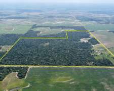 94 Has en Venta - Pcia del Chaco, las Breñas