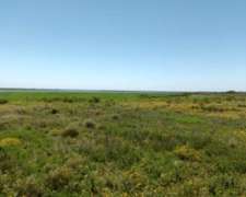 Campo Ganadero en Arrendamiento en Corrientes